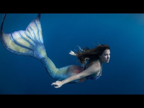 जलपरियों का रहस्य और घटनाएं #mermaid #mysteryfacts #Shorts