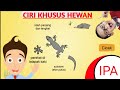 Keunikan Ciri Khusus Hewan