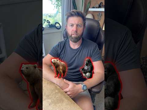 Which Animal Do You Want To Avoid in The Wild?