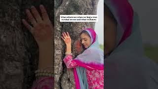 Nature as a teacher #nature #naturehealing #yoga #travel #fypyoutube #peace #fyp #therapy #spiritual