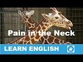 Understanding 'Pain in the Neck' Idiom
