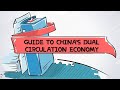 Understanding China's Dual Circulation Economy
