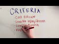 Salamander Research Methods and Challenges