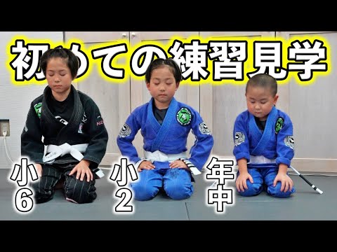初めてアカデミーでの練習を見に行ってきました🥋