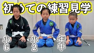 初めてアカデミーでの練習を見に行ってきました🥋