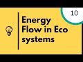 Atmospheric Effects and Ecosystem Roles