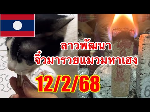 ลาวพัฒนา“จิ๋วมารวยแมวมหาเฮง12/2/68