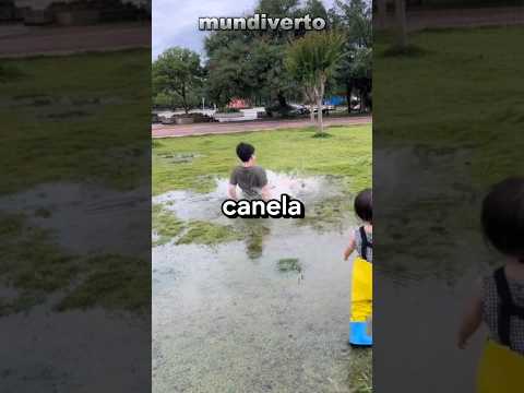NUNCA PULE EM POÇAS DE ÁGUA #humor #casal