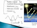 Carbon Cycle and Greenhouse Effect Concepts