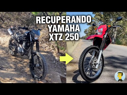 Recuperando YAMAHA XTZ 250 del abandono ft @febamotors ⚙️👨🏻‍🔧🪛