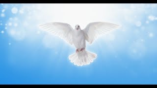 Memorial Service