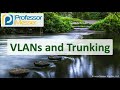 VLAN Concepts and Network Segmentation