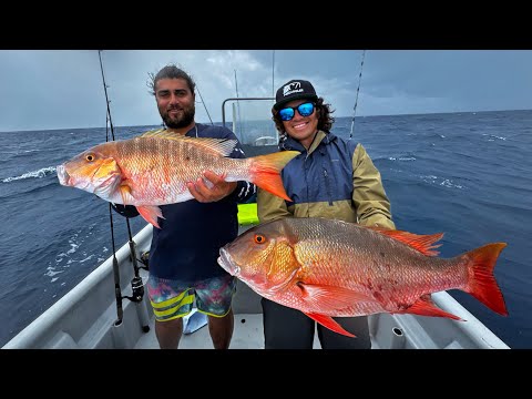 Pargos Gigantes con Carnada! | Pesca de fondo en el Caribe