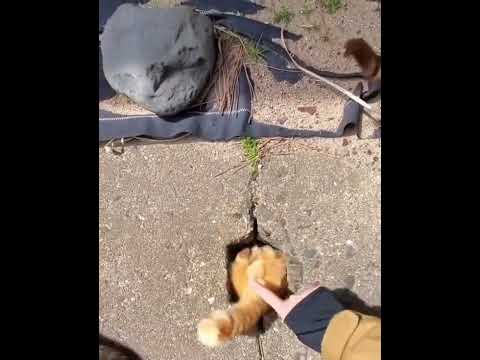 Đứa nào , đứa nào vừa chọt t