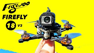 FLYWOO Firefly 18 V3 - Small & Powerful Whoop!