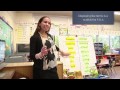 Understanding Insects and Learning Strategies