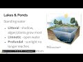 Marine and Freshwater Biomes Concepts