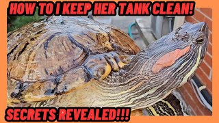 SECRETS TO HOW I KEEP MY TURTLE TANK CLEAN! YOU CAN DO THIS TOO!