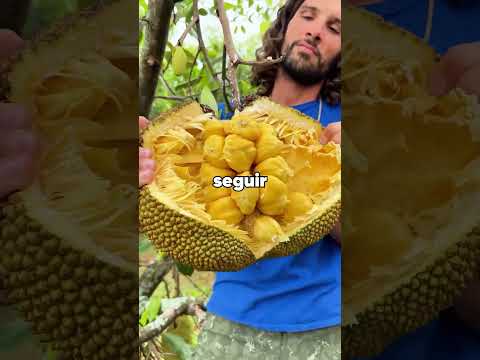 ¿Cómo reaccionó tu ex cuando elegiste a tu mascota en lugar de él?