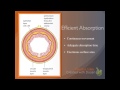 Functions of the Small Intestine