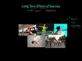Lactate Tolerance and Heart Adaptations