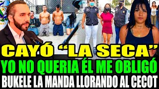 CAYÓ "LA SECA" 😱 P4NDILLERA DE LA MS13 EN EL SALVADOR BUKELE LA HARÁ PAGAR POR LO QUE HIZO N-C