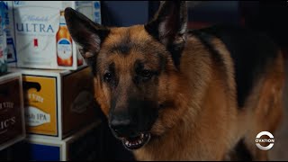 Hudson & Rex | Follow the Scent | Season 4