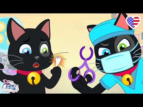 The Tooth Fairy’s Surprise for Misifu! | Cartoons for Kids