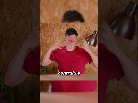 De pássaros mutantes a chicletes ácidos: uma viagem de sabores extremos 🍭👽😱