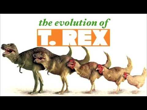 Dinosaurs Didn't Exist