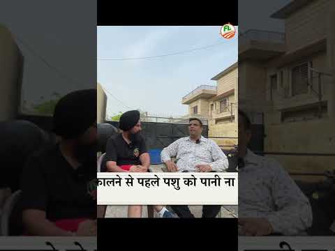 अगर फैट बचानी है दूध की तो मैट करन कभी  😳 #dairyfarming #farmingleader #shorts