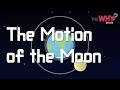 Understanding the Moon: Motion, Features, and Eclipses