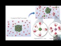 Chemical Solutions and Thermodynamics Concepts