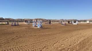 SR and HB Twin 2016 Show jump