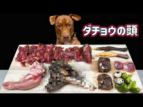 閲覧注意⚠️超レアな食材をボリボリ噛み砕く音がたまらない【ASMR】