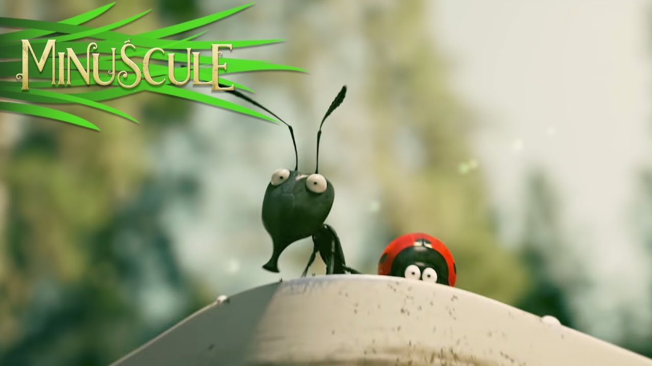 Minuscule: Valley of the Lost Ants Trailer thumbnail