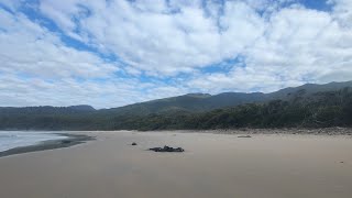 South Coast Track Campsites - Turua Bach Campsite 
