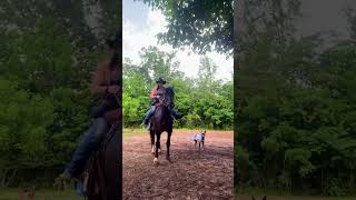 Coolest line dancer EVER! 🐴🤣 💃