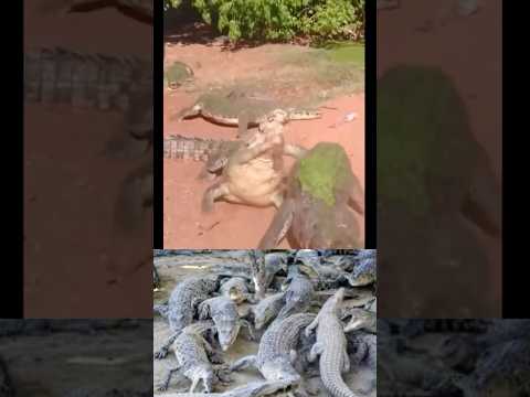 اللي يجي في طريقه