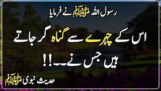 Deen Islam | Hadees Sharif | Islamic Urdu | اس کے چہرے سے گناہ گر جاتے ہیں
