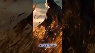 మనసారా నిన్నే చూసి | కనులారా నిన్నే కొలిచి | Telugu Christian Worship Song | cbcnc church
