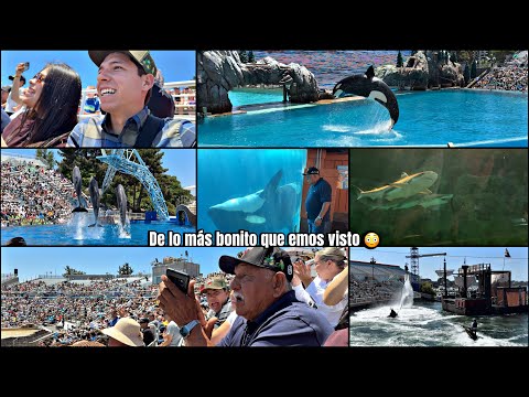 ESTO ES SEAWORLD Y SUS ATRACCIONES. ALGO DE LO MÁS BONITO QUE EMOS VISYO 😳🐋‼️