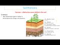 Soil Properties and Functions
