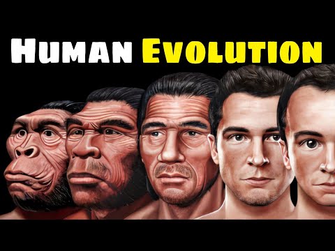Human Evolution. By Gyan Flix