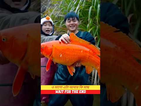আরে এটা আবার কি মাছ 🫠~miniwood toy woodworking art and skill 😱 #shortsfeed