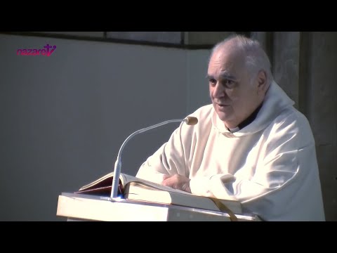 Evangelio y homilía de hoy jueves 21 de noviembre de 2024. Rvdo. Enric Ribas, pbro.