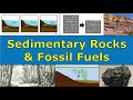 Sedimentary Rocks and Fossil Fuels Essentials