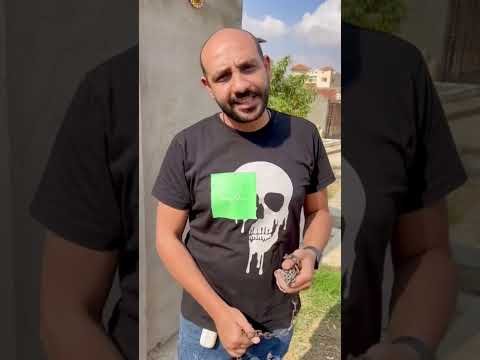 اخد الكلب بتخانق بيه شوفوا حصل ايه فالاخر (الجزء الثاني)😱