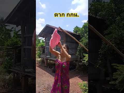 แดดตอนเที่ยง #คลายเครียด #funny