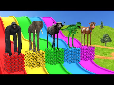 Long Slide Game With Elephant Gorilla Buffalo Hippopotamus Tiger - 3d Animal Game - Funny 3d Animals